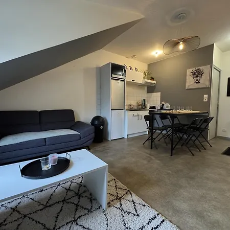 Apartment Near Le Mans 24h Circuit *