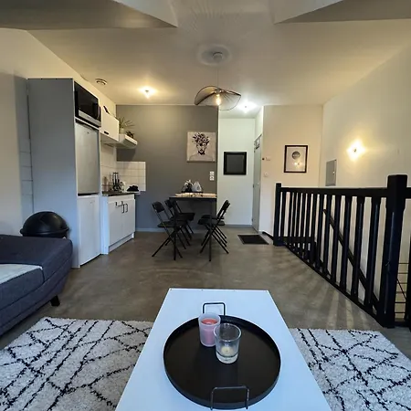 Near Le Mans 24h Circuit Apartment